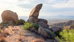 photo thumbnail #2