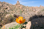 photo thumbnail #6