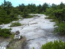 photo thumbnail #13