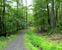 photo thumbnail #15
