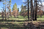photo thumbnail #3