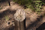 photo thumbnail #9