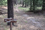 photo thumbnail #13