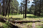 photo thumbnail #15