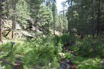 photo thumbnail #9
