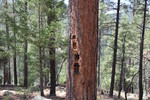 photo thumbnail #14