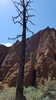 photo thumbnail #10