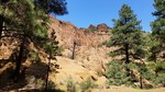 photo thumbnail #12