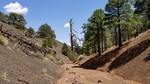 photo thumbnail #15