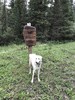 photo thumbnail #1