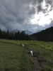 photo thumbnail #2