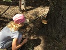 photo thumbnail #5