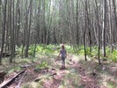 photo thumbnail #5