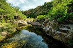 photo thumbnail #5