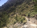 photo thumbnail #8