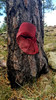 photo thumbnail #4