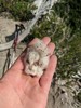 photo thumbnail #15