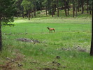 photo thumbnail #3