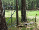 photo thumbnail #4