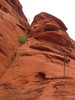 photo thumbnail #11