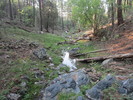 photo thumbnail #3