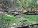 photo thumbnail #15