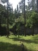 photo thumbnail #8