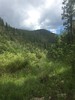 photo thumbnail #10