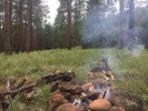 photo thumbnail #13