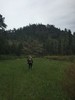 recent photo