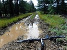 photo thumbnail #3