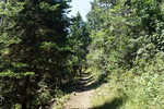 photo thumbnail #8