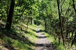 photo thumbnail #14