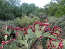 photo thumbnail #2