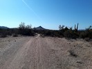 photo thumbnail #5