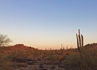 photo thumbnail #2