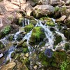 photo thumbnail #11