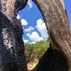 photo thumbnail #14