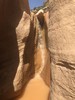 photo thumbnail #15