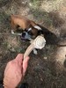 photo thumbnail #4