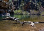 photo thumbnail #5