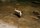 photo thumbnail #6