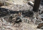photo thumbnail #9