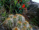 photo thumbnail #9