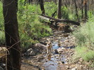 photo thumbnail #12
