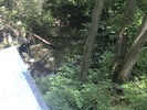 photo thumbnail #14