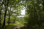 photo thumbnail #10