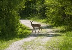 photo thumbnail #13
