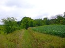 photo thumbnail #8