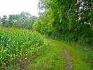photo thumbnail #10